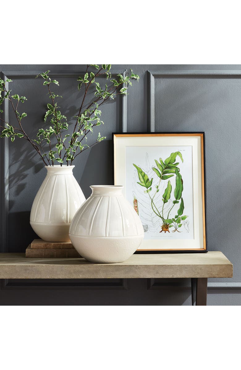 Napa Home & Garden 17.75" x 23" Decorative Structural Fern Botanical Study Framed Prints Set of 4, Alternate, color, Green