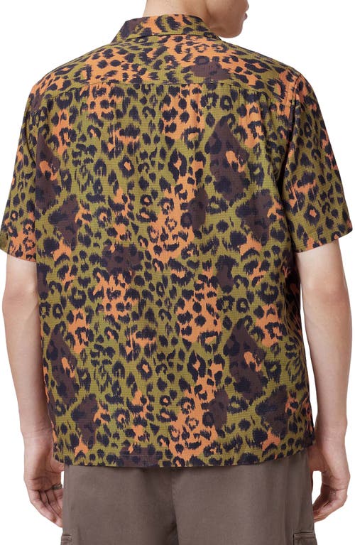 Allsaints Styx Leopard Print Ripstop Camp Shirt In Green