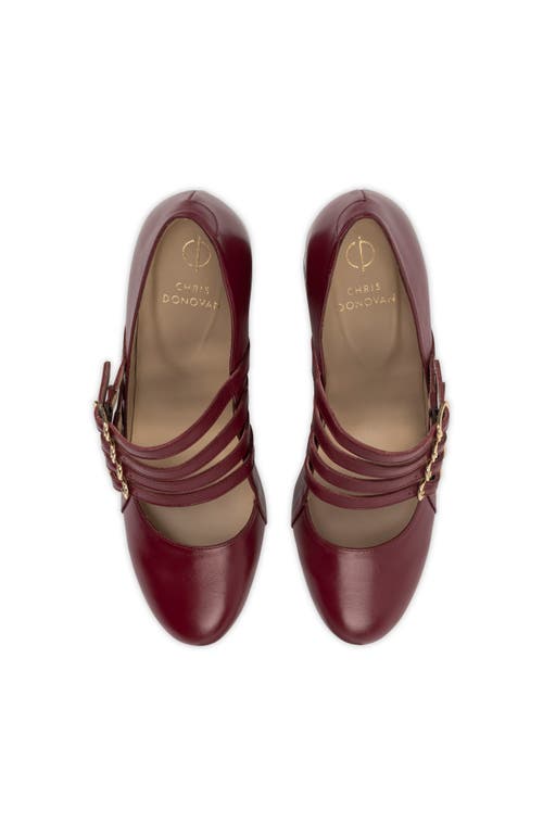 Chris Donovan Footwear Chalet Mary Jane In Burgundy