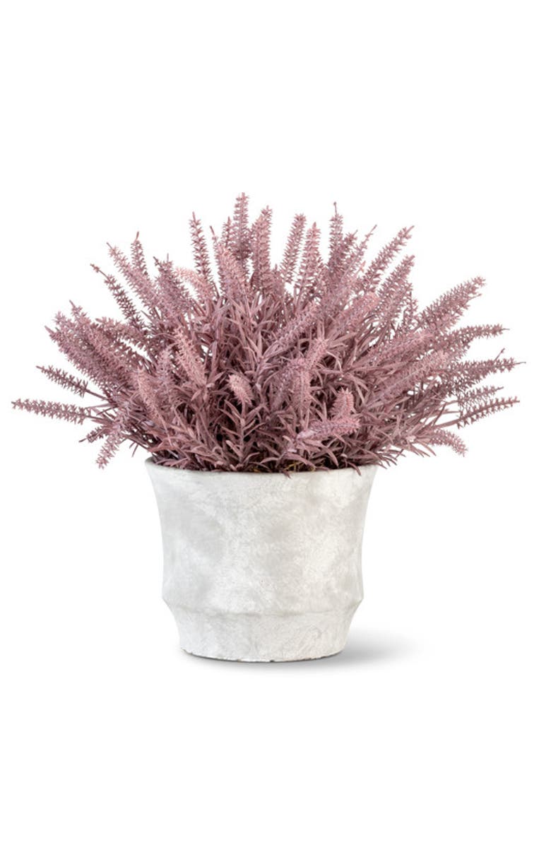 CocoBella Casper Wheatgrass Arrangement, Main, color, Purple