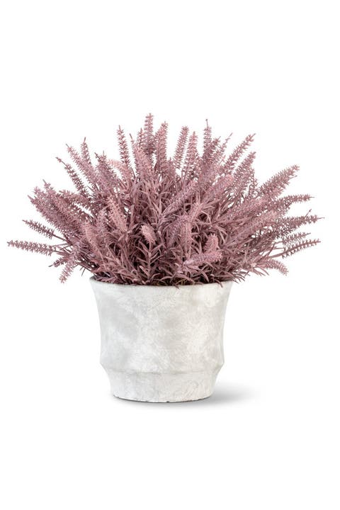 Casper Wheatgrass Arrangement