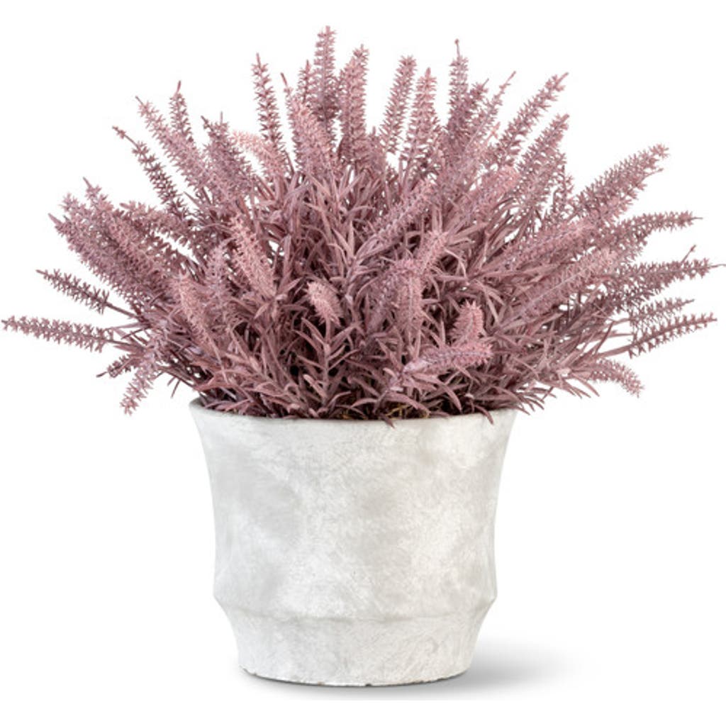 Cocobella Casper Wheatgrass Arrangement In Purple