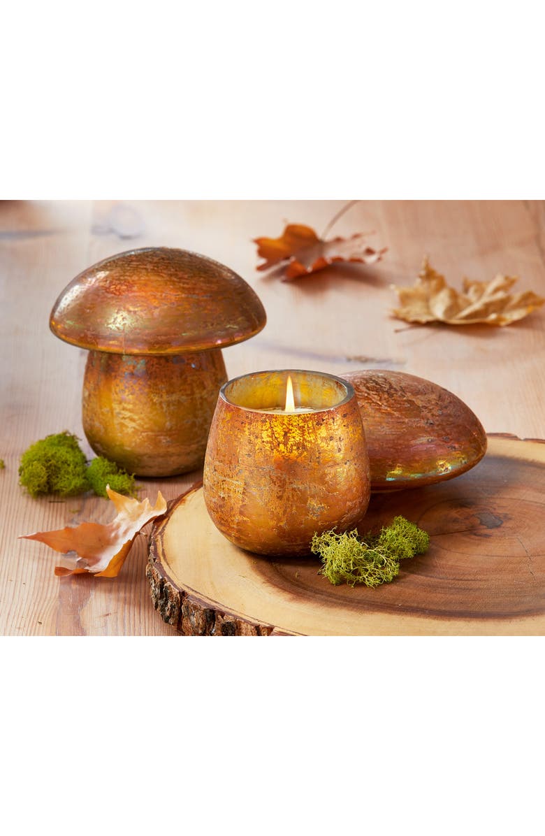 tag Scented Soy Wax Candle in Mushroom Glass Container with Lid, Alternate, color, Multicolored