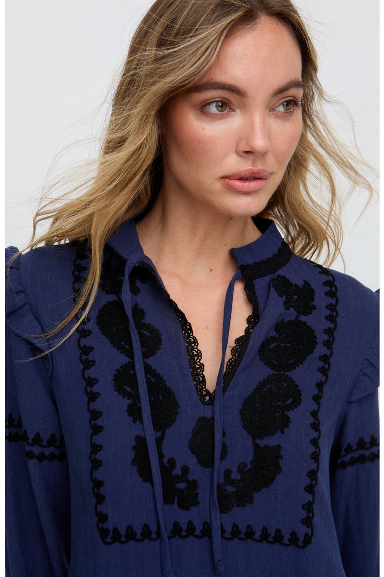 Lulu Embroidered Maxi Dress, Alternate, color, Navy