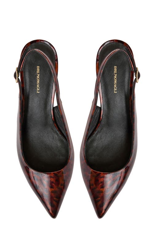 Bruno Magli Palerma Pointed Toe Kitten Heel Slingback Pump In Brown