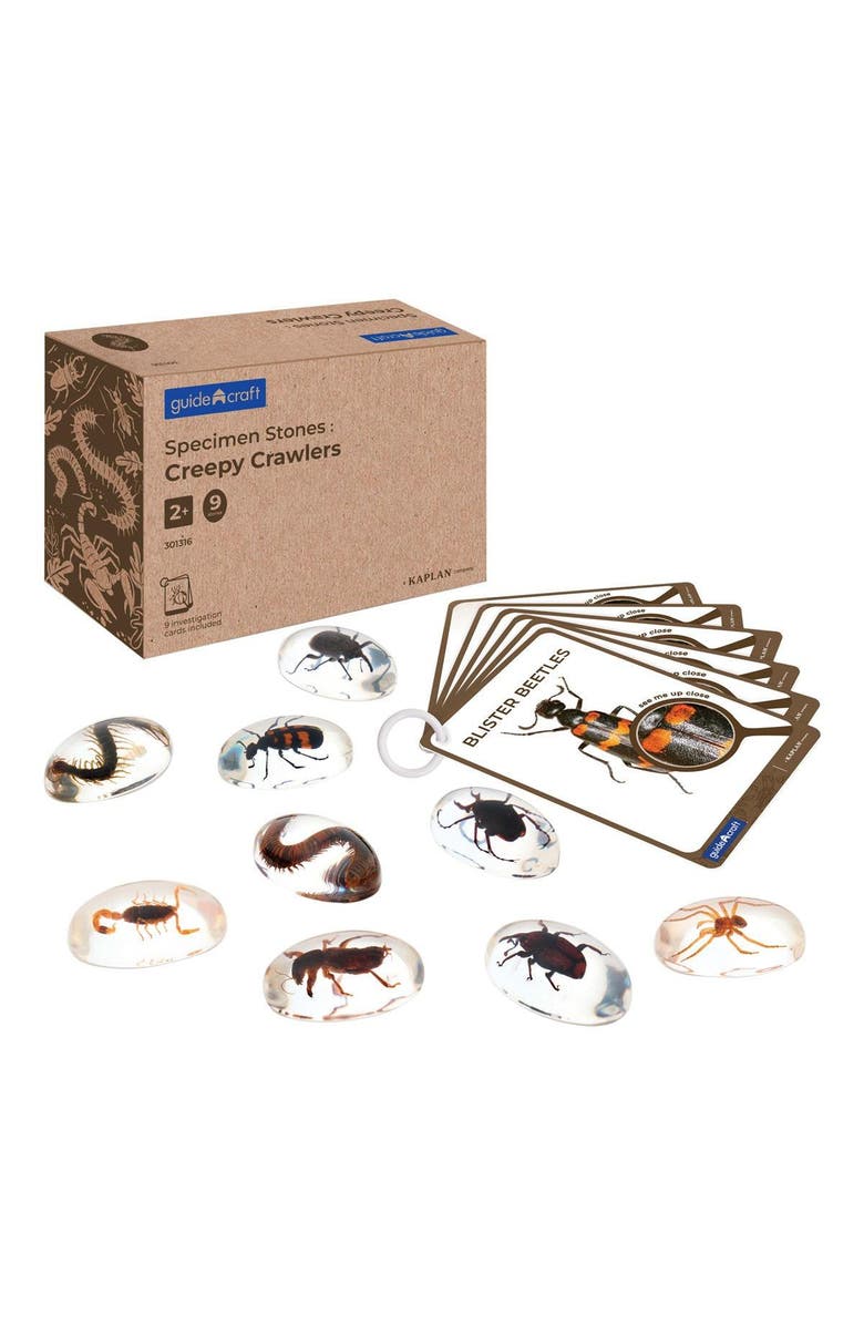 Kaplan Early Learning Company Specimen Stones Creepy Crawlers - 9 Stones, Main, color, Multicolored