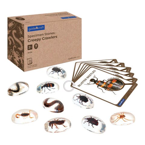 Specimen Stones Creepy Crawlers - 9 Stones