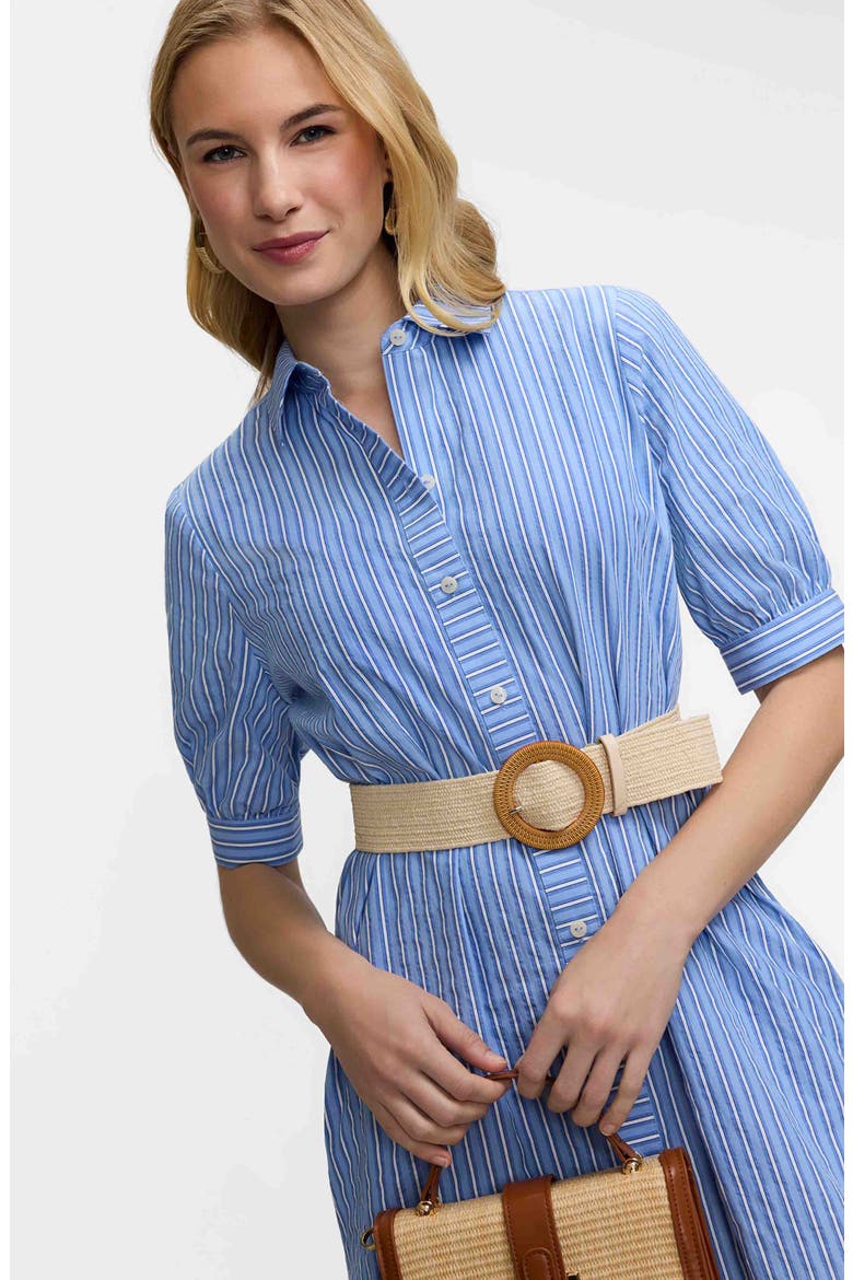 Esther Belted Stripe Cotton Shirtdress, Alternate, color, BLUE MULTI