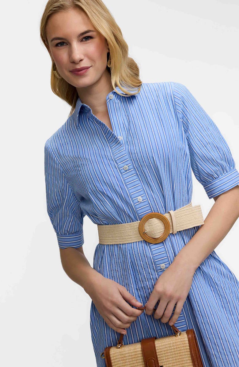 Foxcroft Esther Belted Stripe Cotton Shirtdress, Alternate, color, Blue Multi