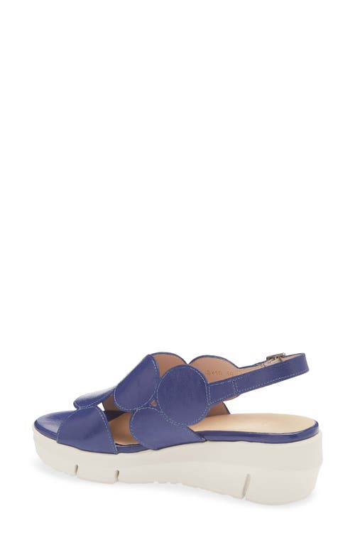 Wonders Platform Sandal In Lack Dusk