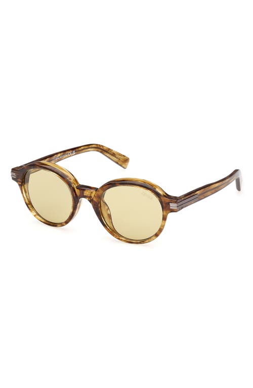Zegna 50mm Round Polarized Sunglasses In Shiny Transparent Havana