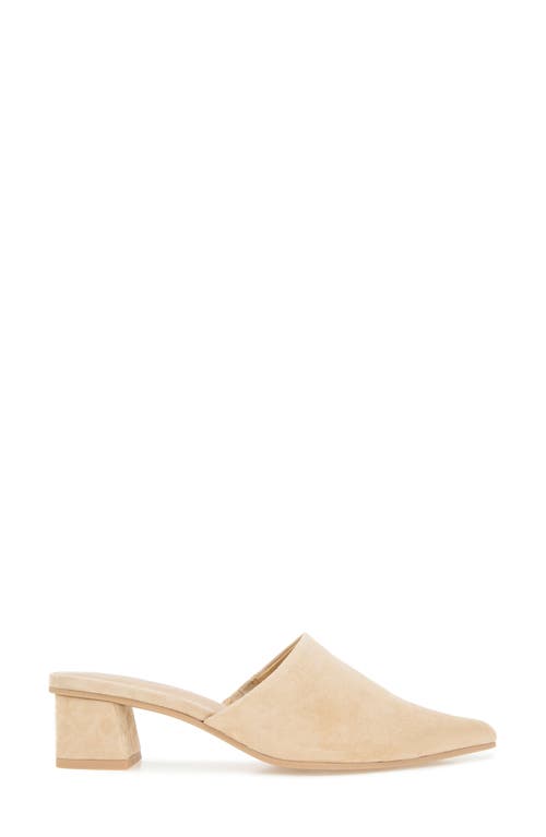 SPLENDID SPLENDID LORELEI MULE
