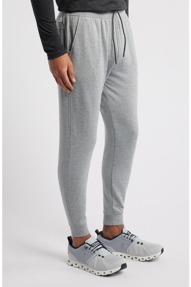 Brushed Fleece Joggers, Alternate, color, HEATHER GREY