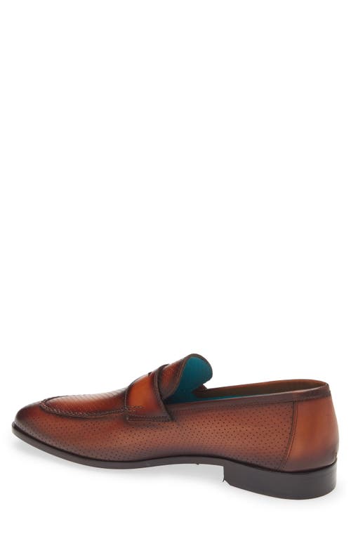 Mezlan Cueva Perforated Penny Loafer In Cognac Rust