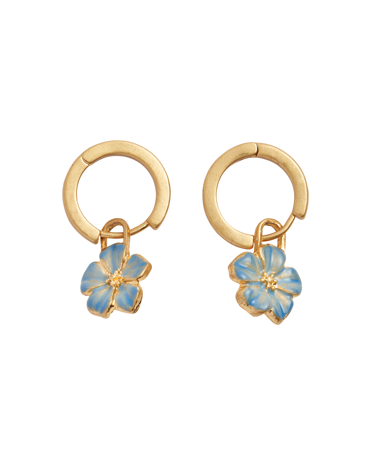 selected Blue & Gold