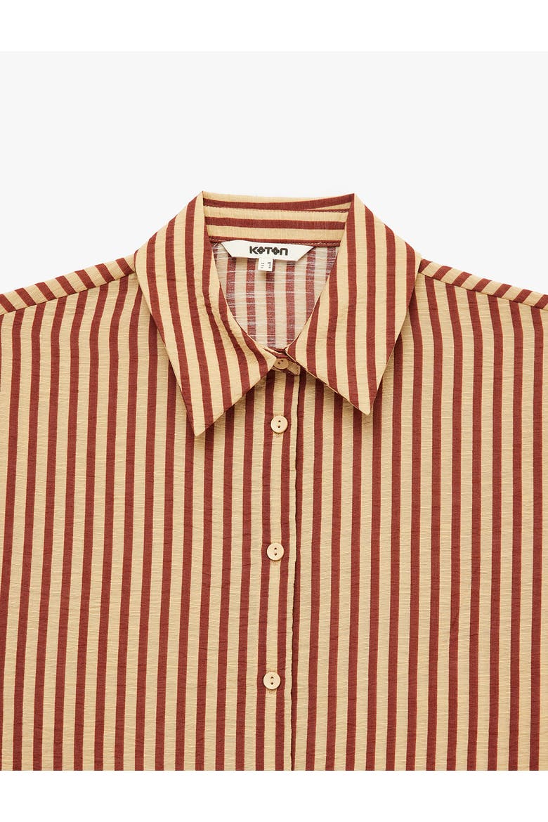 Long Sleeve Striped Shirt, Alternate, color, BROWN STRIPE