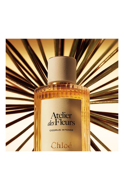 Chloé Atelier Des Fleurs Cedrus Intense Eau De Parfum For Women In No Color
