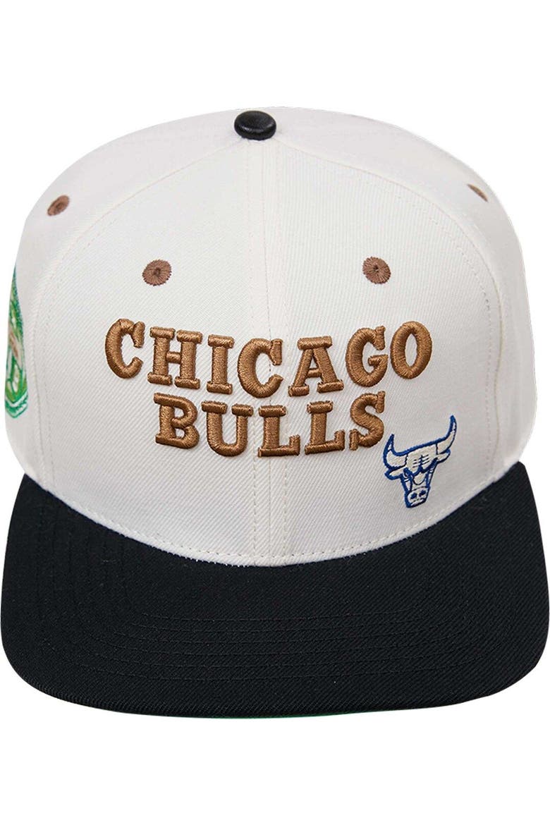 Men's Cream/Black Chicago Bulls Album Cover Snapback Hat, Alternate, color, Cream