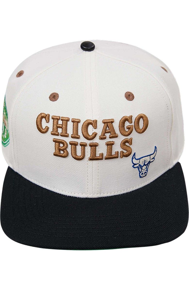 Post Men's Cream/Black Chicago Bulls Album Cover Snapback Hat, Alternate, color, 