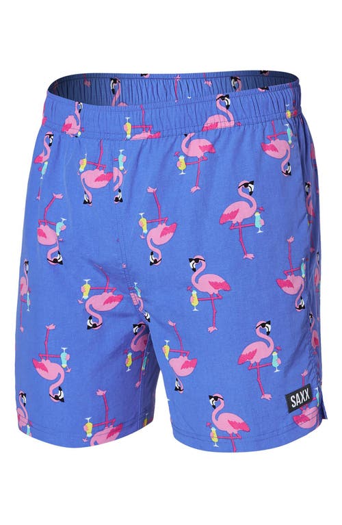 Saxx Go Coastal 2-in-1 Volley Swim Shorts In Flocktail Hour-sport Blue