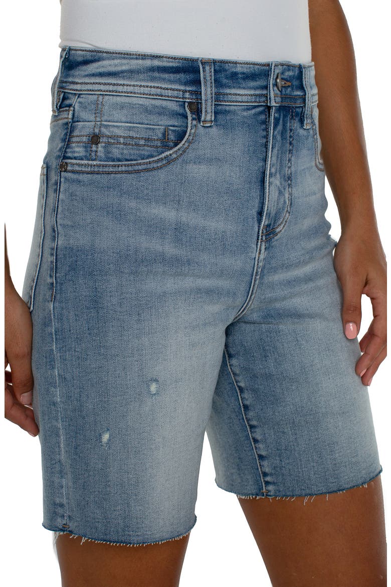 Tucker Mid Thigh Denim Cutoff Shorts, Alternate, color, BANCROFT