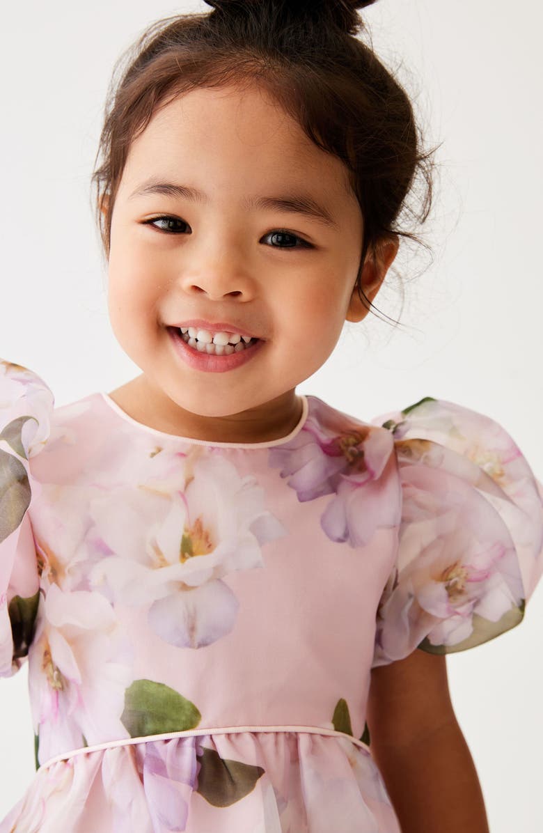 Baker by Ted Baker Kids' Gardinia Organza Party Dress, Alternate, color, 
