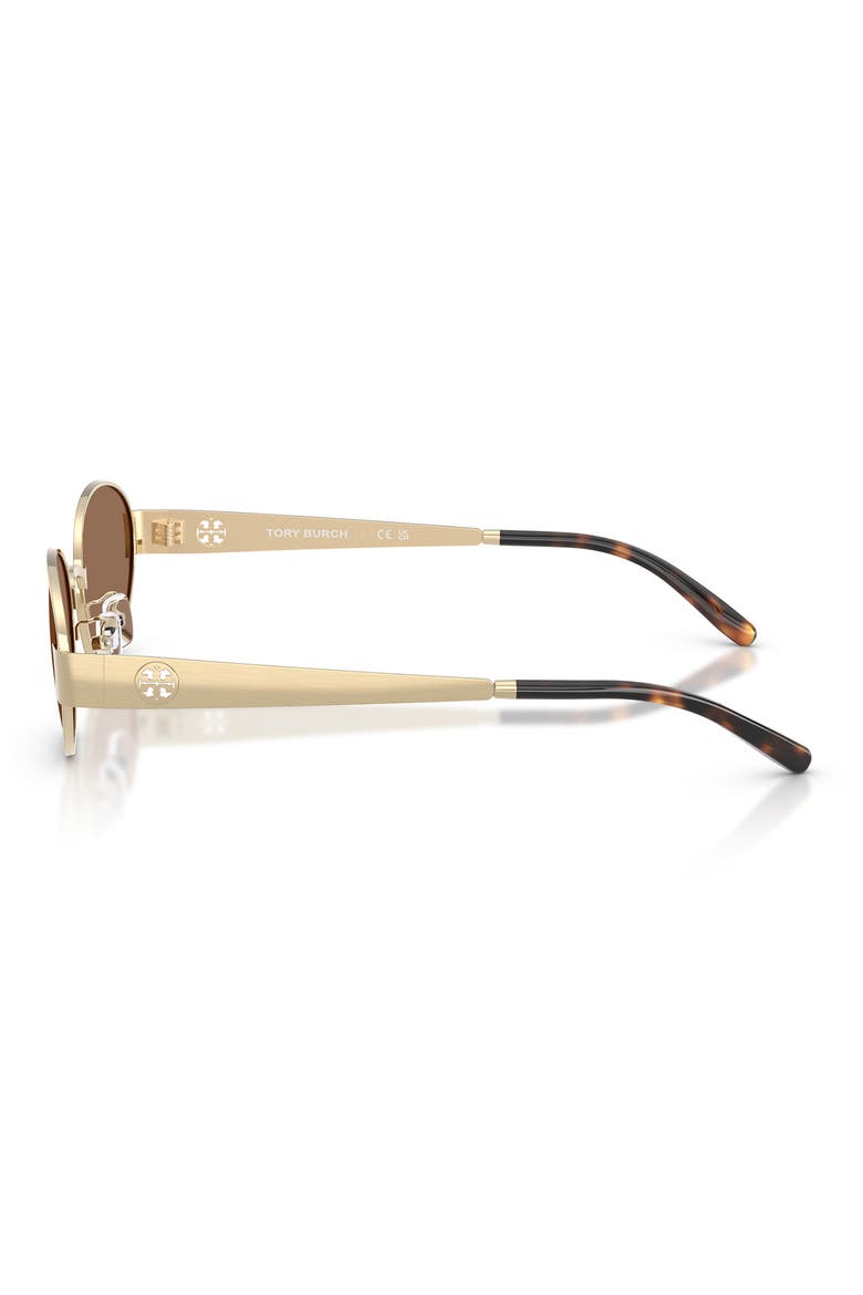 54mm Oval Sunglasses, Alternate, color, SHINY LIGHT GOLD / DARK BROWN