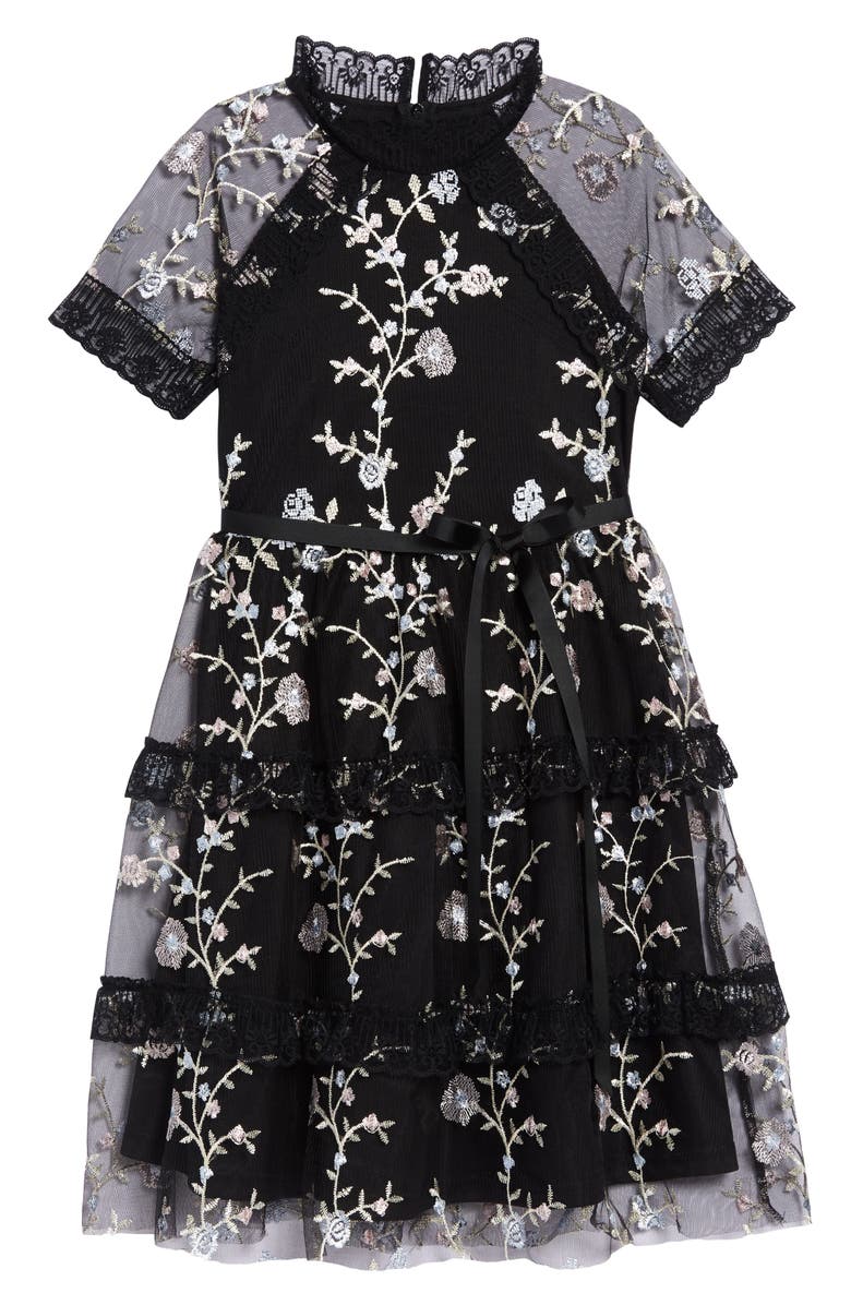 BLUSH by Us Angels Embroidered Mesh Dress, Main, color,