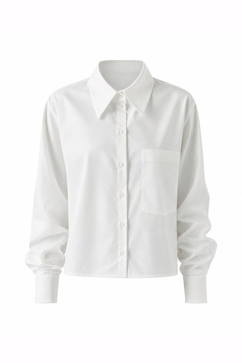Theodora Long Sleeve Shirt, Alternate, color, ECRU