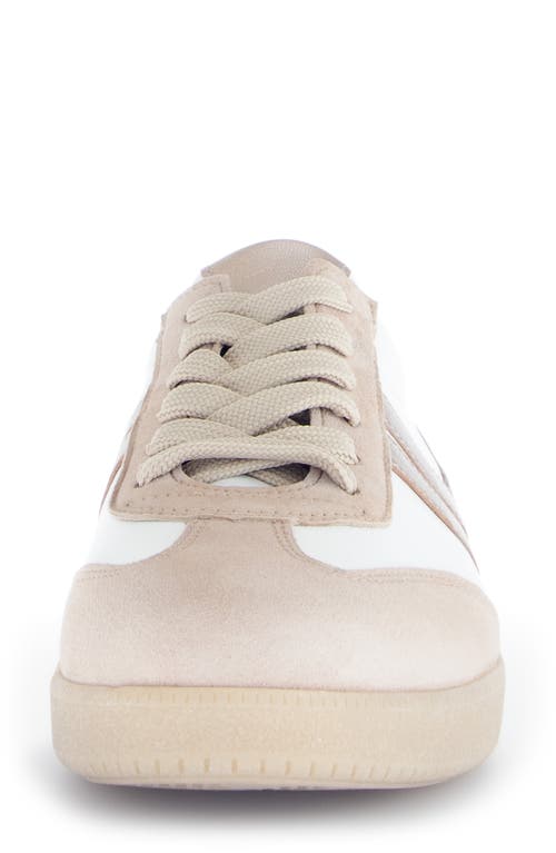 Shop Gabor 63.300 Sneaker In Puder