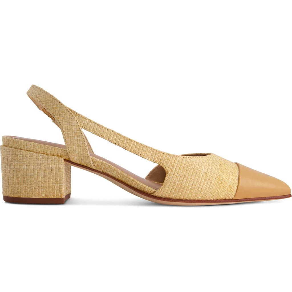 BERNARDO FOOTWEAR BERNARDO FOOTWEAR MONROE CAP TOE PUMP