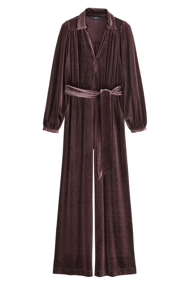 Long Sleeve Velvet Jumpsuit, Alternate, color, BROWN