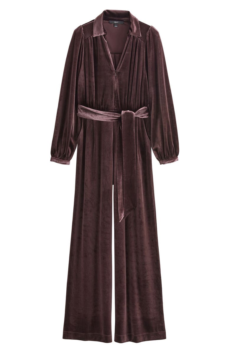 NEXT Long Sleeve Velvet Jumpsuit, Alternate, color, Brown