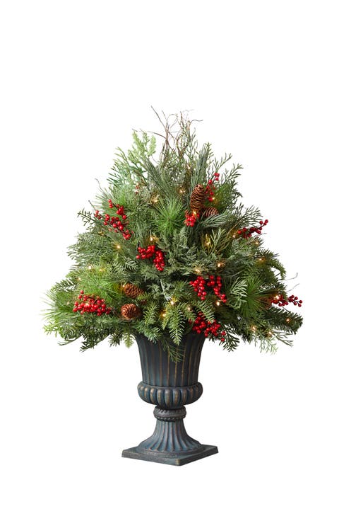 Outdoor Red Berry Pine Potted Arrangement