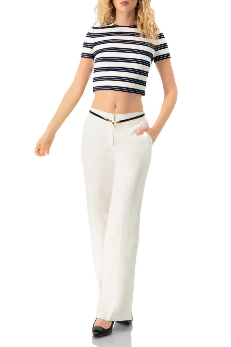 Striped Short Sleeve Round Neck Crop Top, Alternate, color, Navy Blue