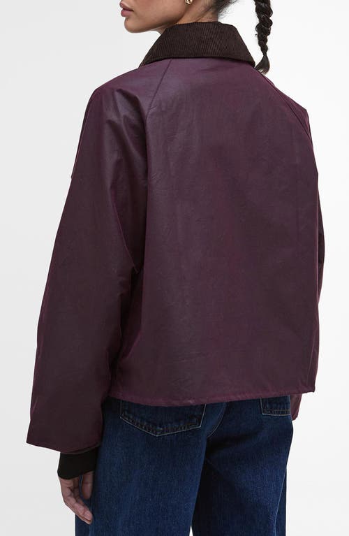 Barbour Shade Of Purple Jacket With A Ribbed Collar In Burgundy