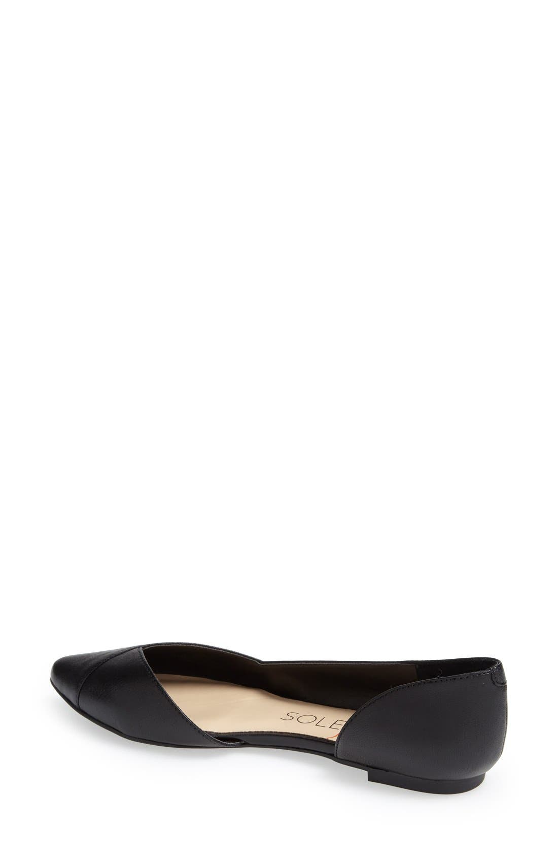 Sole Society 'Danielle' Pointy Toe Flat, Alternate, color, 