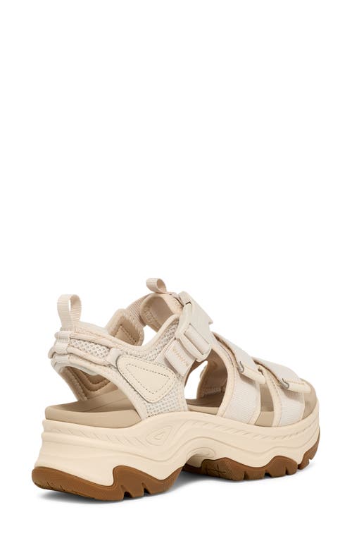 Shop Teva Hurricane Ampsole Gaila Sandal In Birch