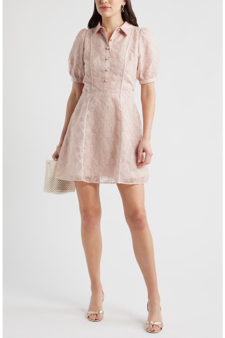Floral Embroidered Puff Sleeve Minidress, Alternate, color, PINK SEPIA