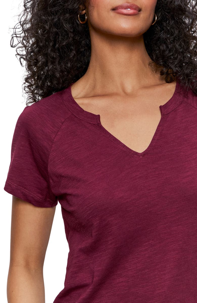 Sanctuary Notch V-Neck Cotton Blend T-Shirt, Alternate, color, Night Berry