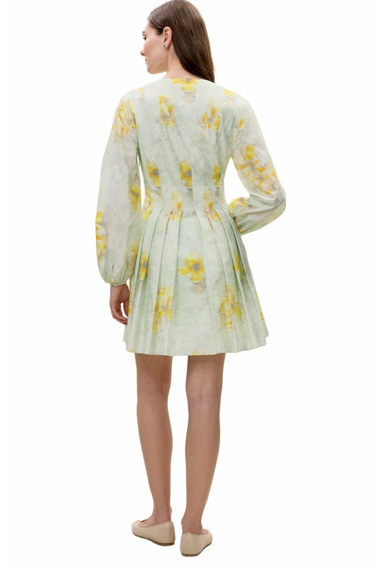 Yara Poplin Dress, Alternate, color, SAGE COMBO