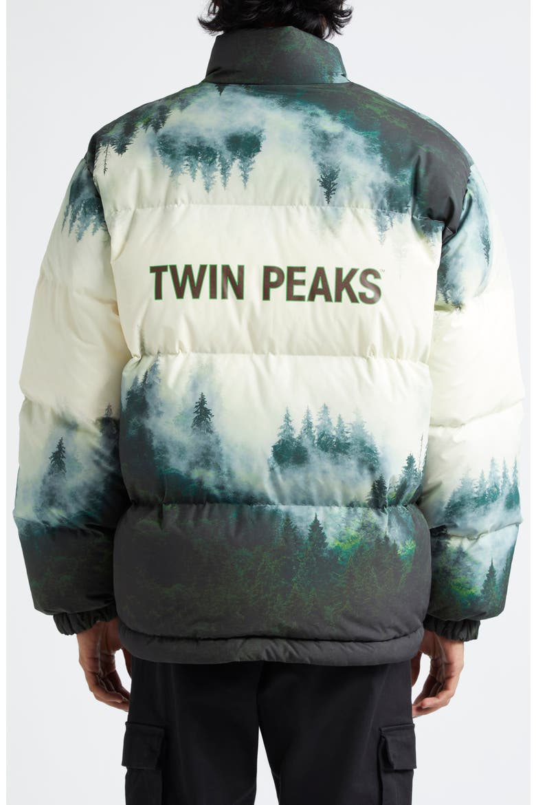 'Twin Peaks' Down Puffer Jacket, Alternate, color, IVORY BASE