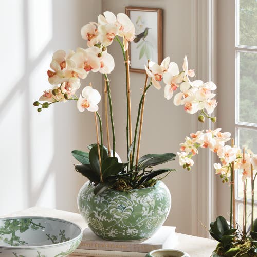 Napa Home & Garden Imperial Lotus Planter Small In Green