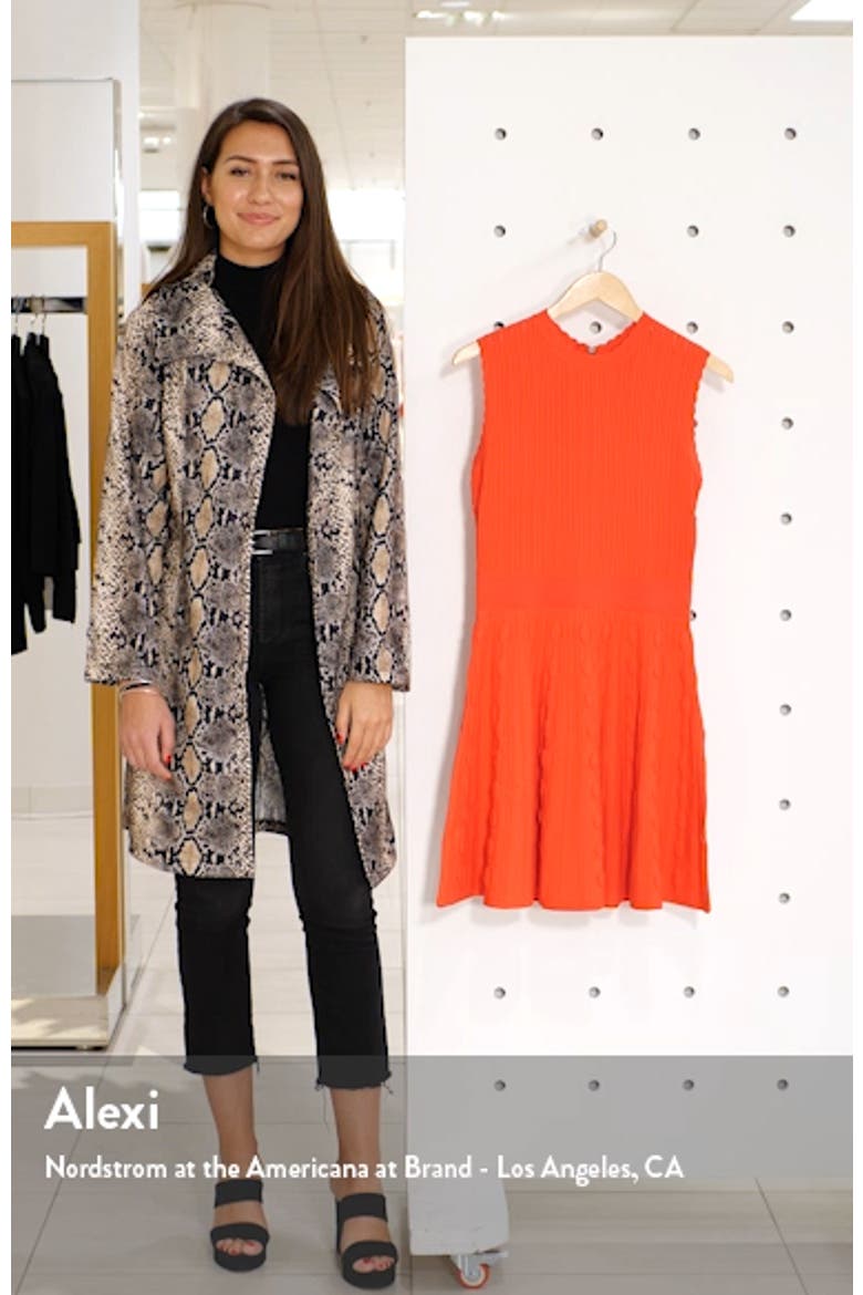 Kamylia Scallop Knit Skater Dress video
