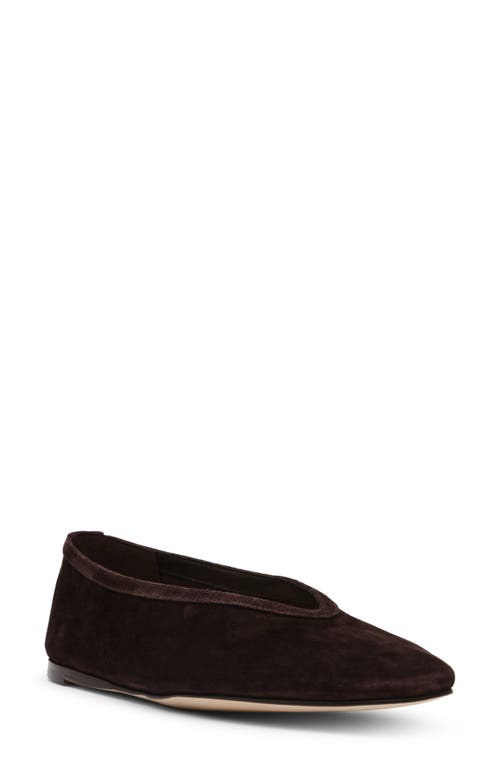 Shop Steve Madden Leni Flat In Brown Suede