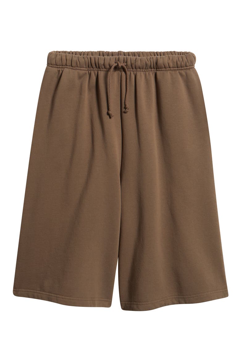 Core Big Sweatshorts, Alternate, color, VINTAGE BROWN