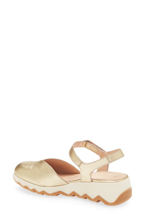 Wonders Samara Platform Wedge Pump In Max Platino
