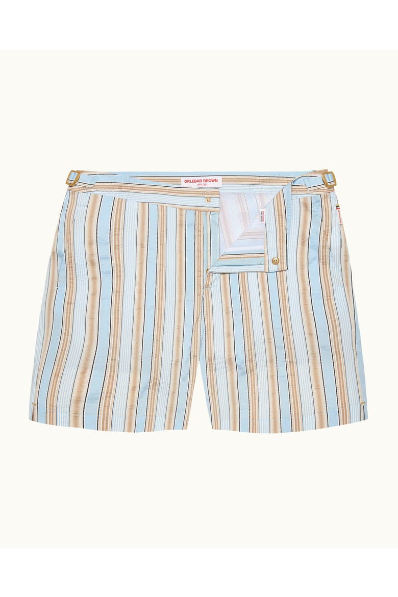 Bulldog Mid-Length Swim Shorts, Main, color, BLUE/BISCUIT STRIPE