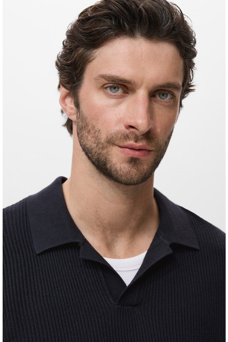 Johnny Collar Rib Polo Sweater, Alternate, color, NAVY