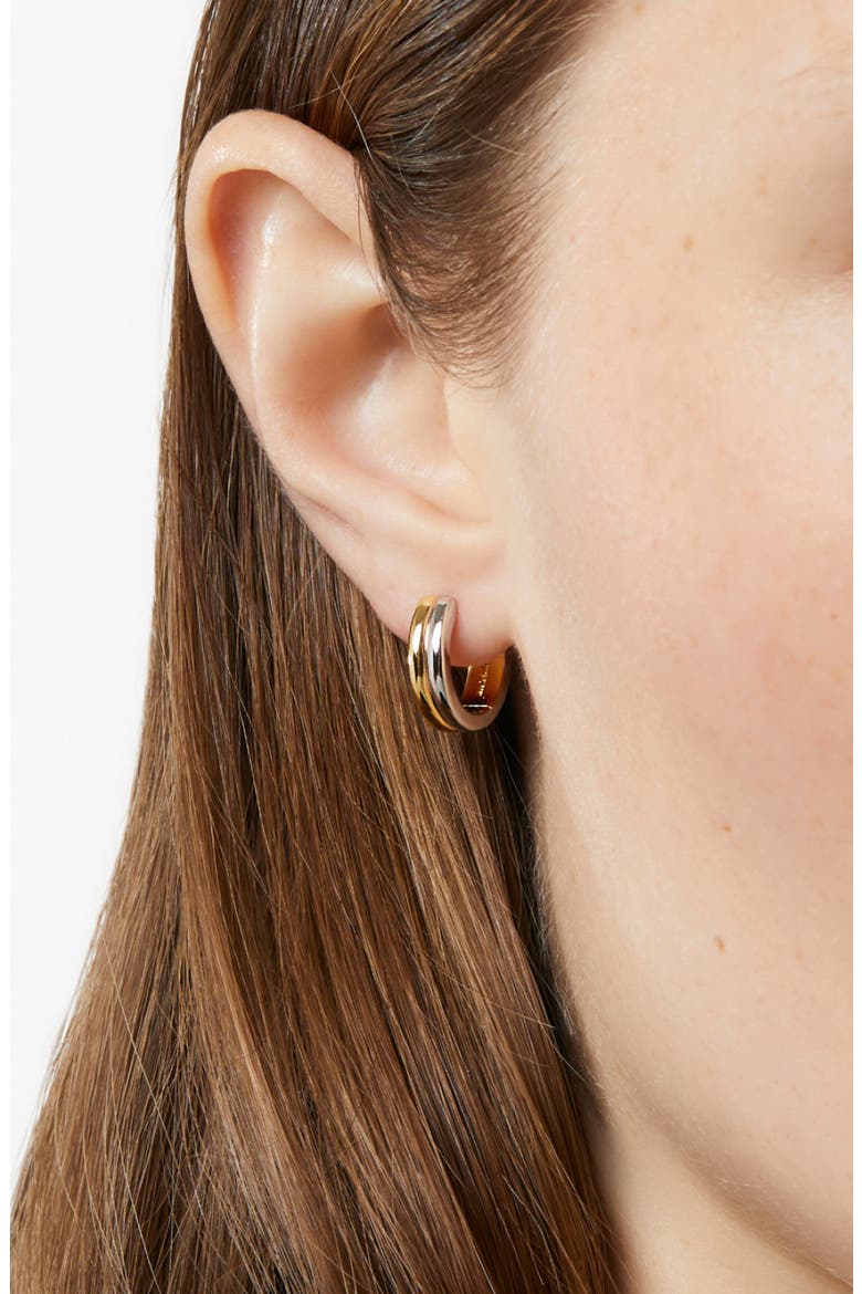 Huggie Hoop Earrings - Asher, Alternate, color, Gold/silver
